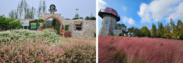 태안 가볼만한 곳 / 온라인 커뮤니티