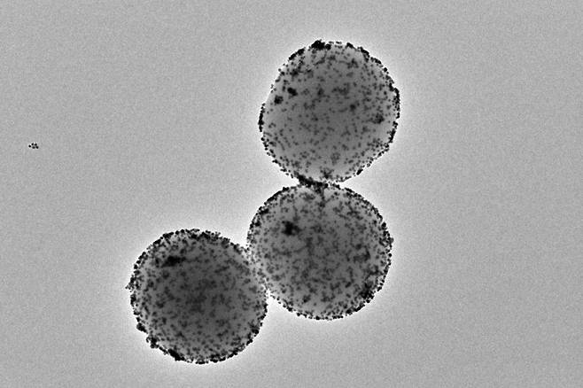 스페인 연구진이 개발한 나노로봇의 모습. 소변을 연료로 사용해 방광에 항암제를 전달하는 기능을 한다./카탈루냐생명공학연구소