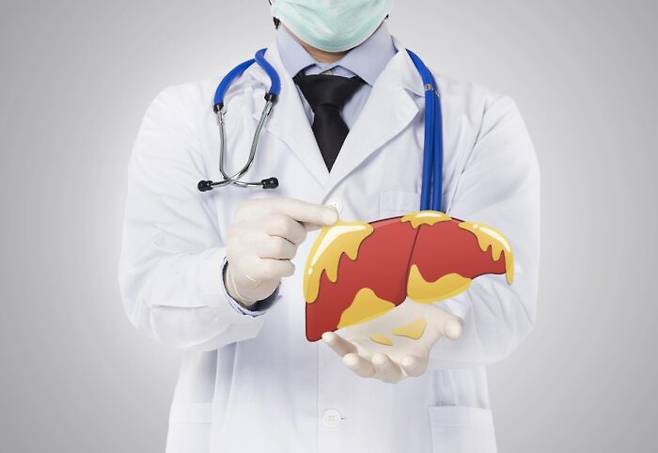 '비타민D' 보충으로 비알코올성 지방간을 예방할 수 있다는 사실을 국내 연구진이 세계 최초로 규명했다. [사진=게티이미지뱅크]