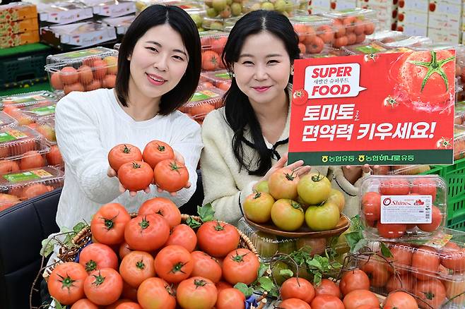 16일 서울 서초구 하나로마트 양재점에서 모델들이 겨울철 면역력 강화에 좋은 토마토를 선보이고 있다.   농협유통 제공