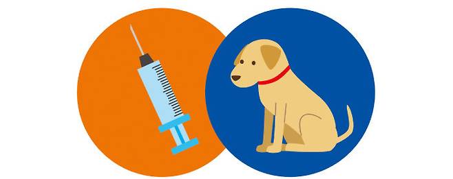 식분증이 있는 반려견은 감염 방지를 위해 내외부 기생충 예방접종을 철저히 해야 한다. [GettyImages]