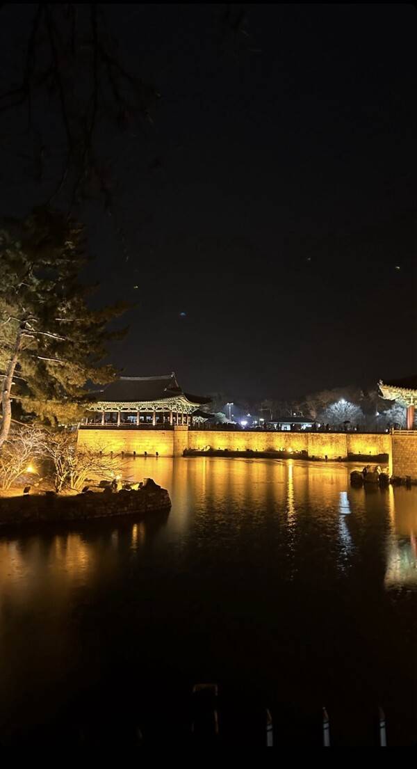 야경 속 궁의 모습 [이포커스]