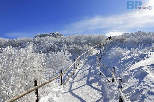 출처 = 게티이미지뱅크