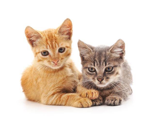 게티이미지뱅크