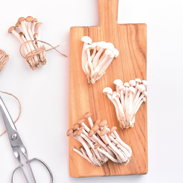 느티만가닥버섯 ‘백마루'(흰색)와 ‘마루킹'. 농진청