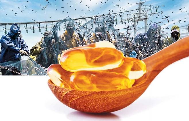 오메가3가 우울증 개선에도 효과가 있다는 연구 결과가 나왔다./조선일보DB