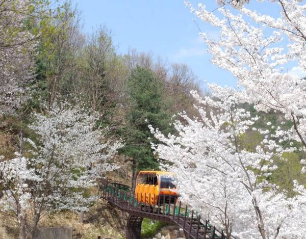 구미 가볼만한 곳 추천 / 온라인 커뮤니티