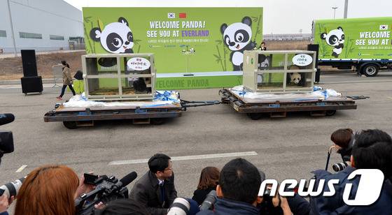 2016년 3월3일 오후 대한항공 화물기편으로 중국 청두를 출발한 판다 암,수 한쌍이 인천국제공항 화물터미널에 도착했다. 아크릴로 된 컨테이너 안에 판다 아이바오와 러바오(수컷)가 보인다. 2016.3.3/뉴스1 ⓒ News1 황기선 기자