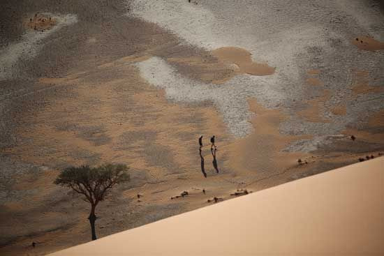 Namibia Dune 45, 2023 [사진제공 = 갤러리 도스]