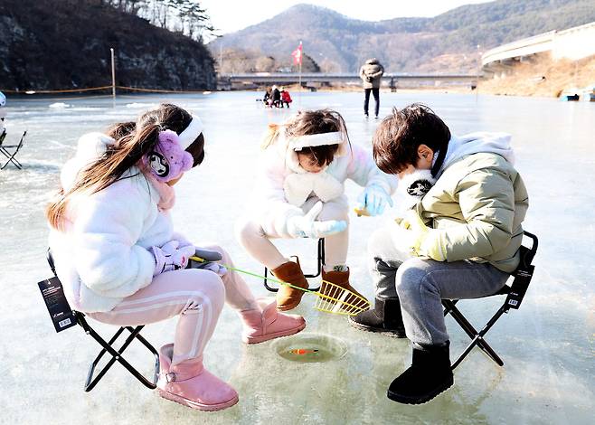 경북 영양군과 영양군체육회가 개최한 제1회 영양 꽁꽁 얼음 축제장을 찾은 어린이들이 빙어낚시를 즐기고 있다. /영양군