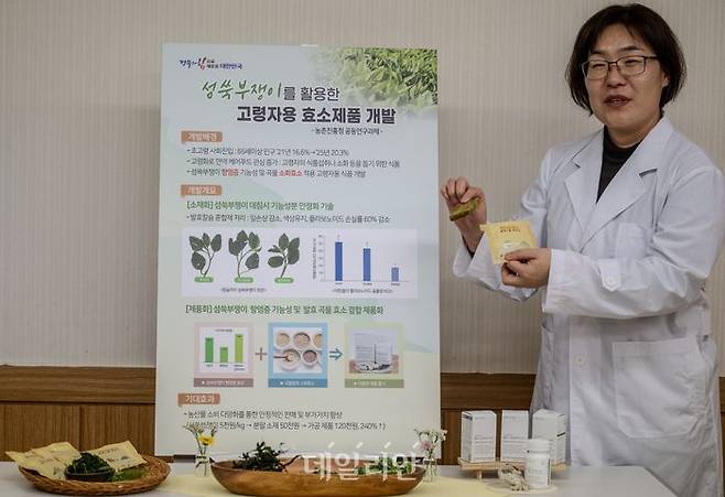 윤성란 경북농업기술원 박사가 섬쑥부쟁이 연구와 개발과정을 설명하고 있다. ⓒ데일리안 배군득 기자