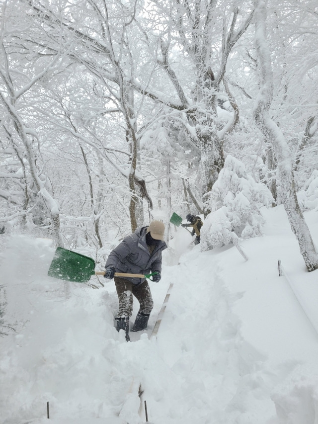 26일 한라산국립공원관리소, 제주산악안전대, 한라산지킴이, 제주산악연맹 관계자들이 탐방로 길트기 작업을 벌이고 있다. 제주도 제공