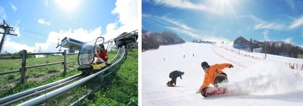 평창 가볼만한 곳 / 온라인 커뮤니티