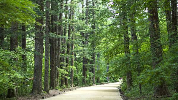 평창 가볼만한 곳 / 온라인 커뮤니티