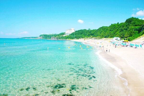 2024년 여행 트렌드 / 온라인 커뮤니티