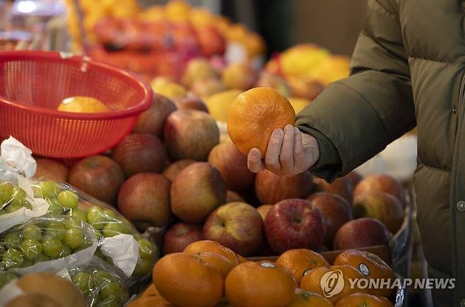 사과·배 등 주요 과일 고공 행진 전망 (서울=연합뉴스) 윤동진 기자 = 새해에도 신선과실 가격 강세가 이어지고 있는 3일 오후 서울의 한 시장 과일가게에서 시민이 과일을 고르고 있다. 지난 1일 한국농수산식품유통공사(aT) 농산물유통정보에 따르면 지난달 29일 기준 사과와 배 소매가격은 각각 1년 전과 비교해 34.0%, 32.6% 높다. 2024.1.3 mon@yna.co.kr (끝) /사진=연합뉴스