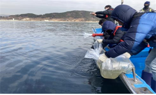 가덕도 해안 대구 방류사업.부산시 수산자원연구소