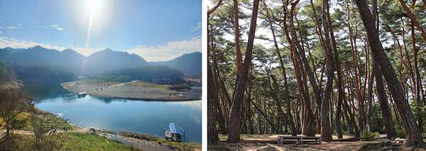 영월 가볼만한 곳 / 온라인 커뮤니티