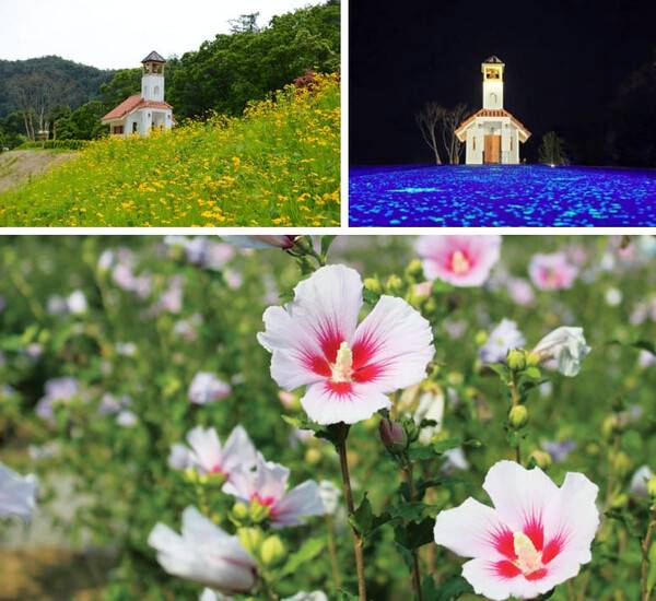 홍천 가볼만한 곳 / 온라인 커뮤니티