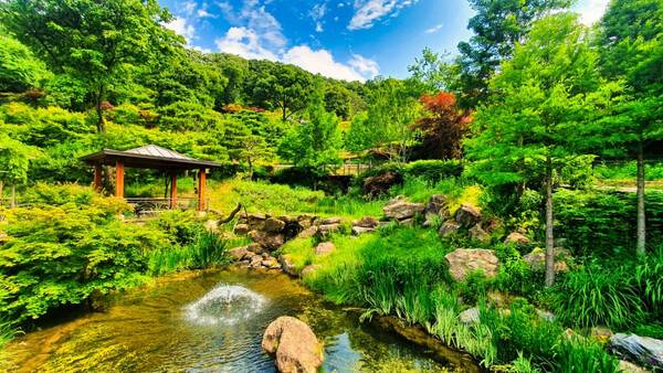 온라인 커뮤니티