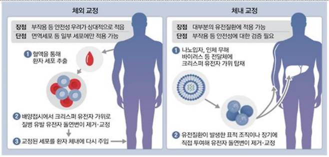 투여방식에 따른 유전자편집 치료의 유형./BRIC