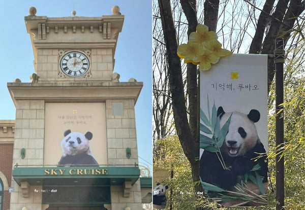 오는 4월 푸바오의 반환 소식이 알려지자 에버랜드 곳곳에 푸바오를 향한 애틋한 마음이 담긴 현수막이 걸린 모습. /사진=사진=인스타그램 fubao_dot 캡처