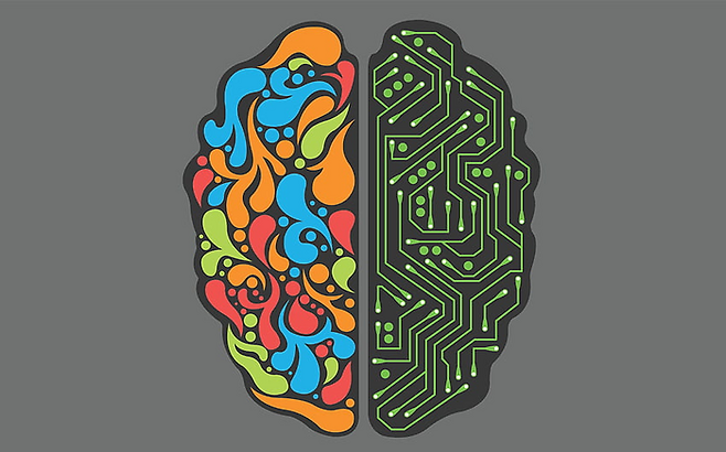 두뇌 구조 일러스트. 자료=게티이미지