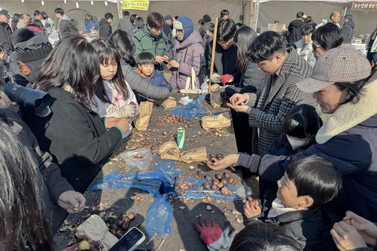 '공주 알밤과 떠나는 달콤한 여행'을 주제로 열린 올해 축제에 무려 15만명이 넘는 관람객이 다녀간 것으로 추산되면서 축제가 시작된 이래 가장 많은 인파를 불러 모으며 대성공을 이뤘다. 사진=공주시 제공