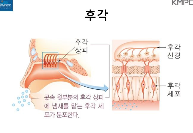 사진=김창훈 교수 제공