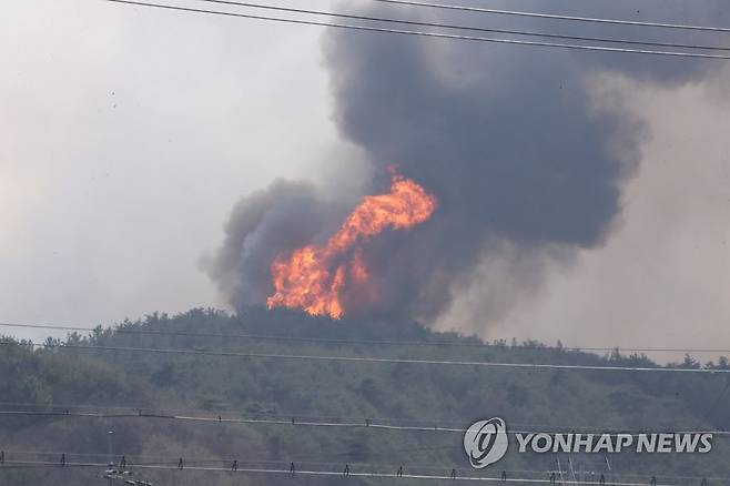 다시 거세지는 화마 (홍성=연합뉴스) 강수환 기자 = 홍성 산불 이틀째인 3일 오후 잠잠해졌던 불길이 강풍이 불며 순식간에 다시 거세고 있다. 양곡리 불길이 강한 북서풍을 따라 이호리 능선으로 확대하고 있다. 불길이 확산하자 홍성군과 관계기관은 서부초 대피소로 대피한 주민들을 갈산면 갈산중학교로 이동시켰다. 2023.4.3 swan@yna.co.kr