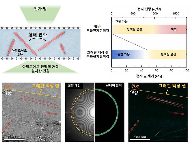 단분자 그래핀 액상 셀 전자현미경 모식도 및 성능.(KAIST 제공)/뉴스1