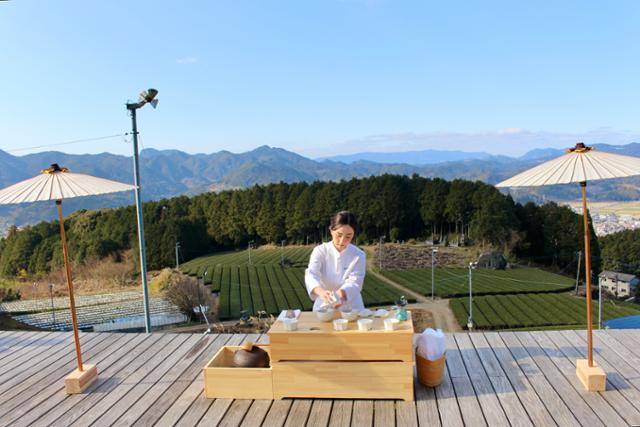 우레시노 차 명가들은 야외에서 차밭을 바라보며 지역의 명차를 즐길 수 있는 체험 프로그램을 운영하고 있다.