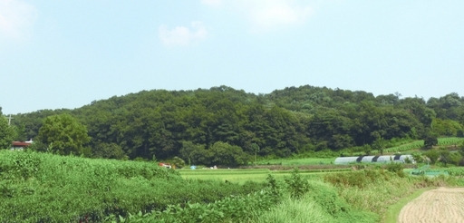 평택 안중읍 비파산 전경. 평택시 제공