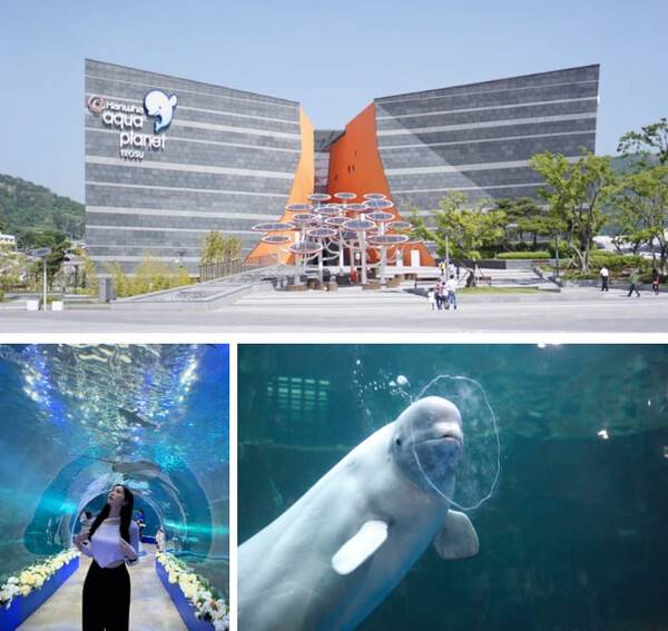 여수 가볼만한 곳 추천 / @riin.__.e / 온라인 커뮤니티