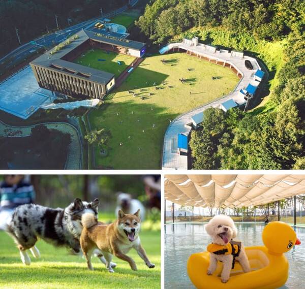 온라인 커뮤니티