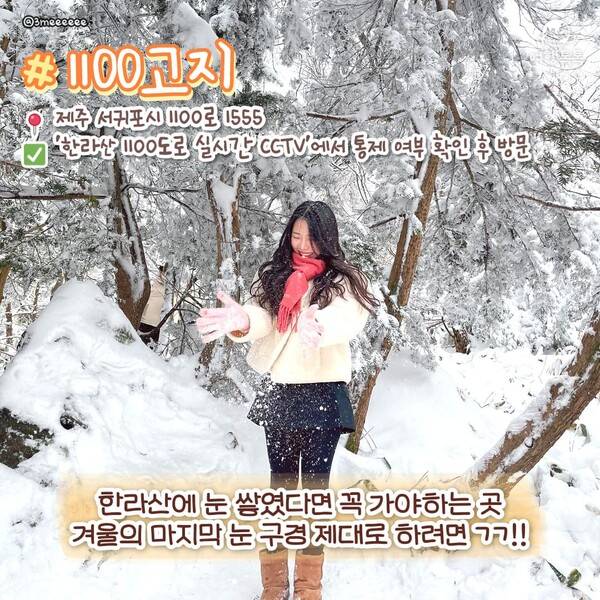 ⓒ여행톡톡 /&nbsp;제주 1100고지&nbsp;