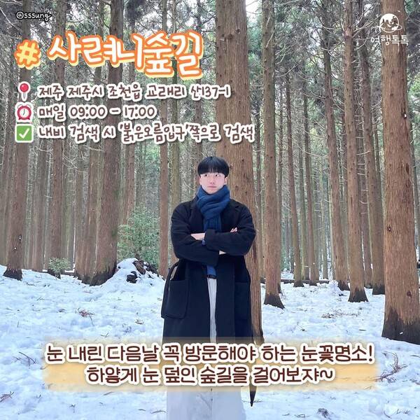 ⓒ여행톡톡 /&nbsp;제주&nbsp;사려니 숲길