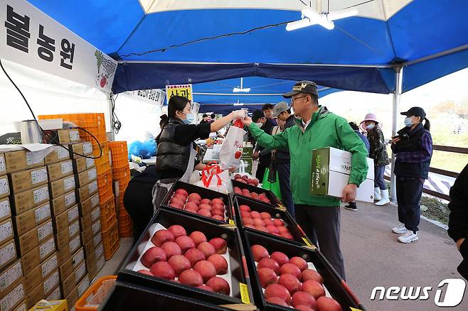 2023년 열린 청춘양구 펀치볼 시래기·사과축제.(자료사진)ⓒ News1 DB