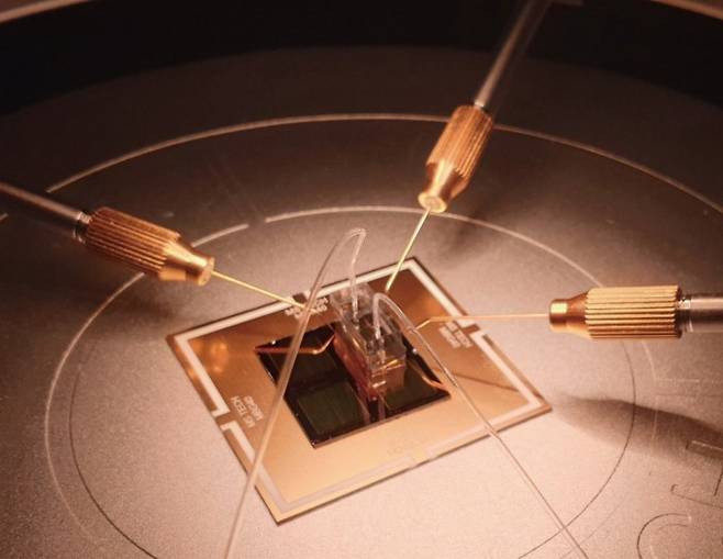 탄소 나노튜브를 이용한 단분자 감지 바이오센서. DGIST 제공