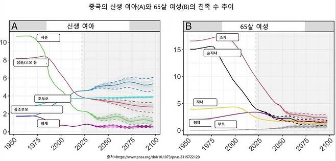 중국의 신생 여아(패널 A)와 65살 여성(패널 B)의 예상 친족 수 추이. 실선은 중앙값이고, 점선은 80% 확률 범위다. PNAS