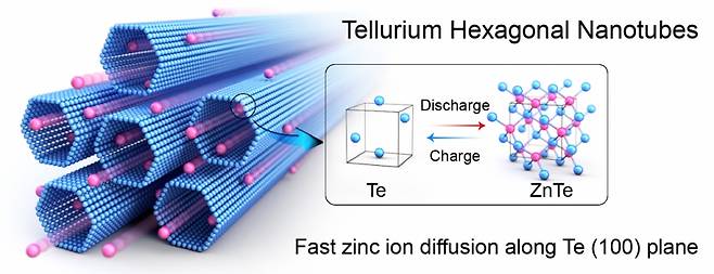 육각 튜브 모양의 텔루륨 나노입자를 아연 수계 전지의 양극 소재로 도입했을 때 충방전 과정에서의 텔루륨의 반응 기작과 텔루륨의 (100) 면을 따라 빠르게 확산하는 아연 이온을 묘사한 그림/사진제공=고려대학교