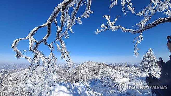 평창 계방산 상고대 [연합뉴스 자료사진]