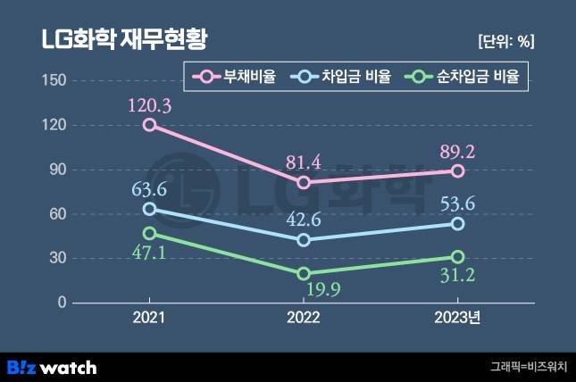 LG화학 재무현황./그래픽=비즈워치