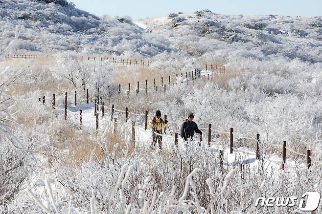 무등산 일원에서 등산객들이 눈 내린 산길을 걷고 있다. 2024.1.25/뉴스1 ⓒ News1 김태성 기자