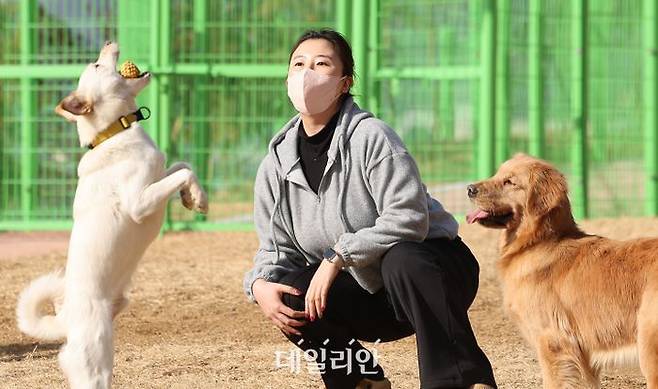 대구 달서구 장동에 조성된 반려견 놀이터에서 강아지들이 뛰놀고 있다. ⓒ뉴시스