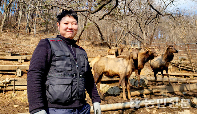 안동교 현대농장 대표 뒤로 ‘엘크’ 사슴이 노닐고 있다.