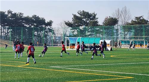 보령서 전지훈련 중인 유소년 축구팀 [보령시 제공. 재판매 및 DB 금지]