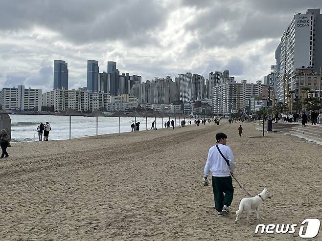 부산 수영구 광안리해수욕장에서 한 시민이 반려견과 함께 산책하고 있다. 2024.02.04/뉴스1 ⓒ News1 권영지 기자