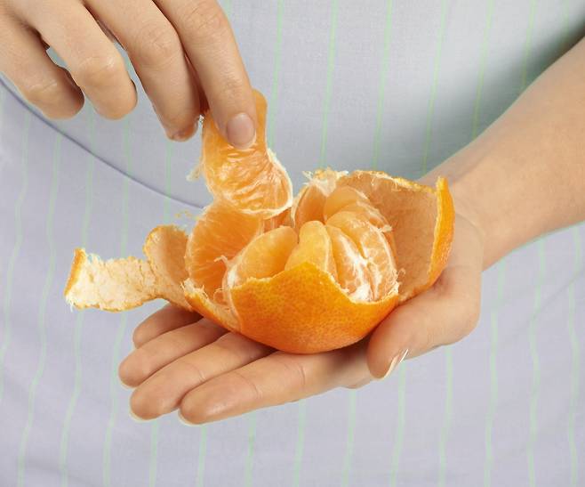귤을 과하게 섭취하면 귤 속 베타-카로틴 색소가 몸에 쌓여 피부가 일시적으로 노래질 수 있다./사진=클립아트코리아