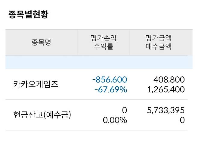 카카오게임즈를 산 김초보(가명) 씨의 2일 주식 계좌 잔고. 한국경제신문 독자 제공